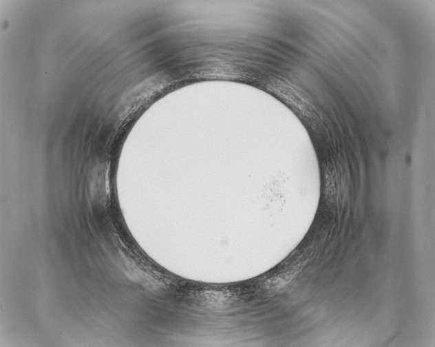 X0000086920302200705071335