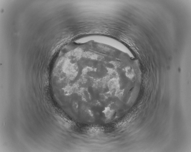 X0000086920303200705071335