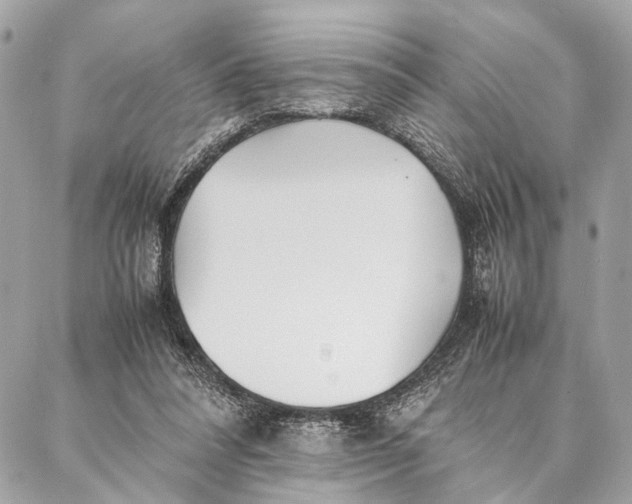 X0000086920304200705071335