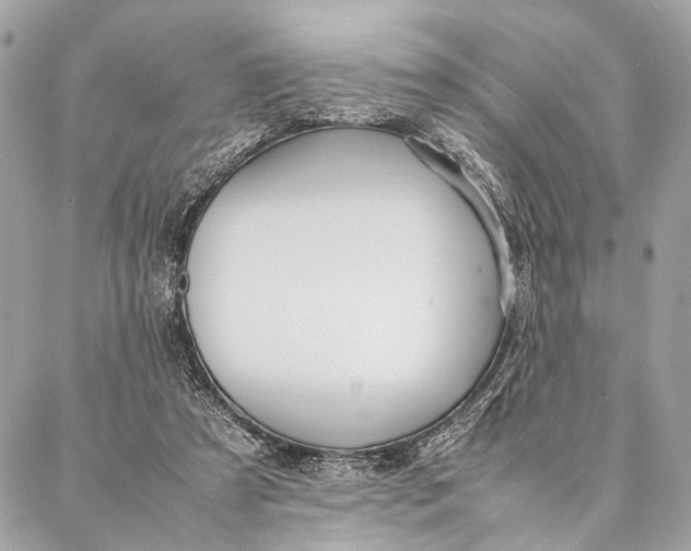 X0000086920305200705071335