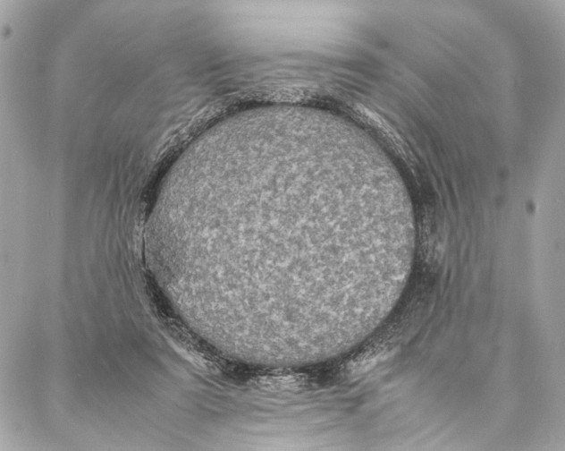 X0000086920307200705071335