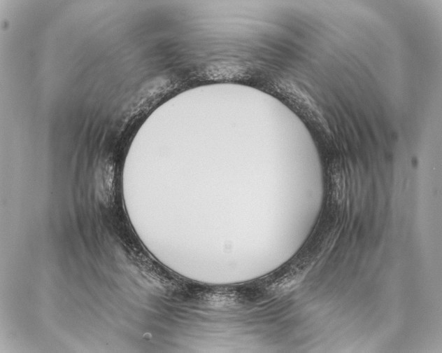 X0000086920308200705071335