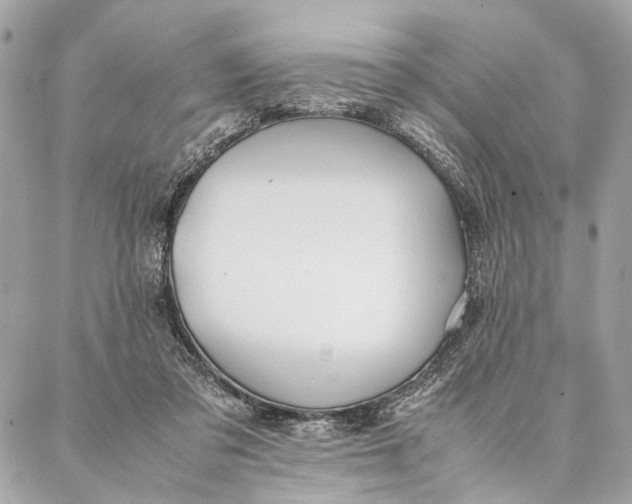 X0000086920309200705071335