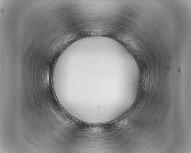 X0000086920310200705071335