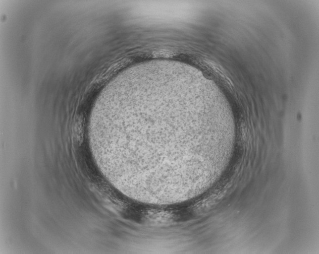 X0000086920311200705071334