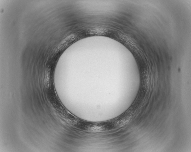 X0000086920312200705071334