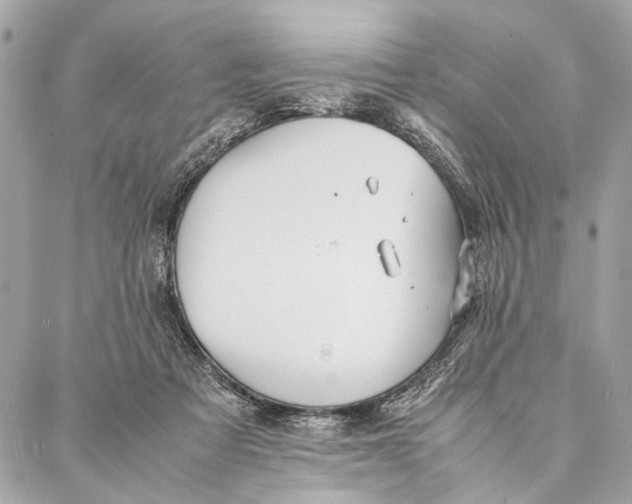 X0000086920313200705071334