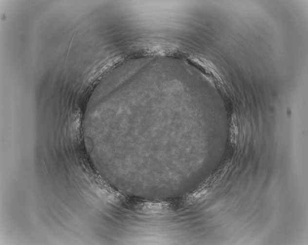 X0000086920314200705071334