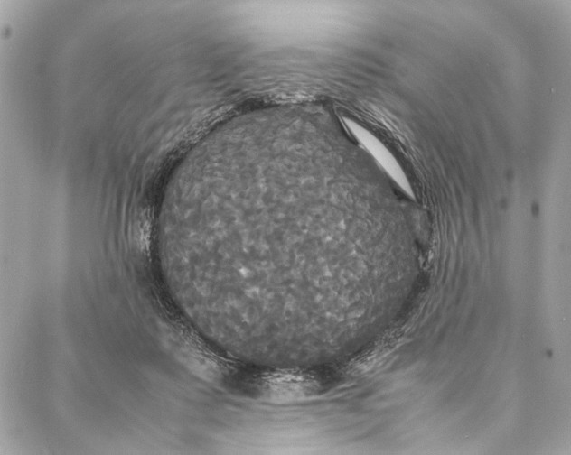 X0000086920315200705071334