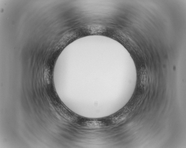 X0000086920316200705071334