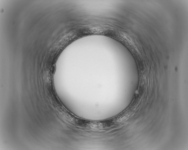 X0000086920317200705071334