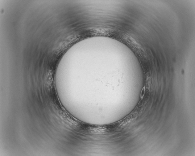 X0000086920318200705071334