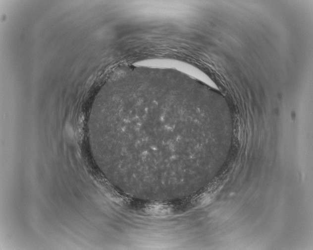 X0000086920319200705071334