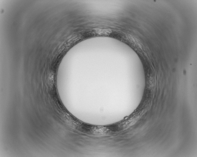 X0000086920321200705071334