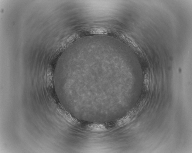 X0000086920322200705071334