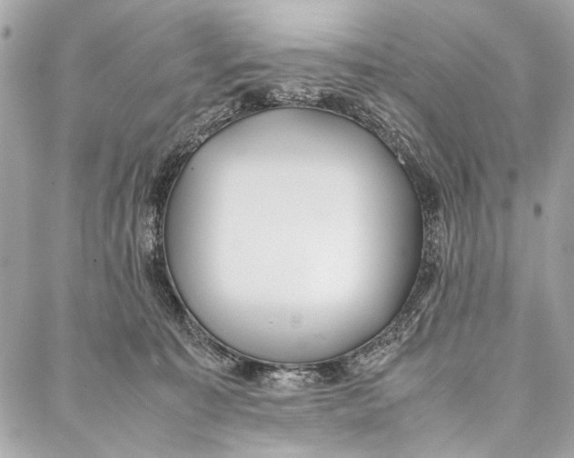 X0000086920323200705071334