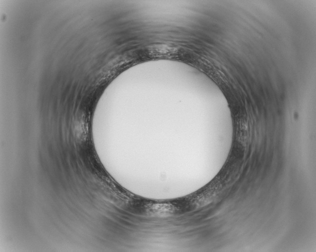 X0000086920324200705071334