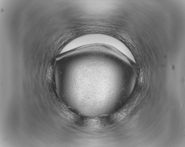 X0000086920325200705071334