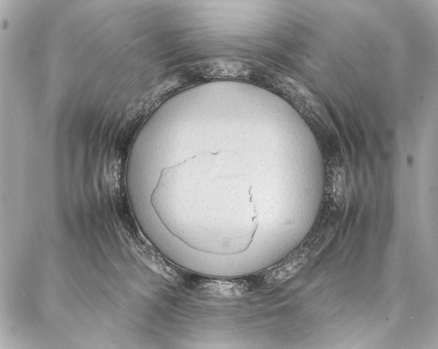 X0000086920326200705071334