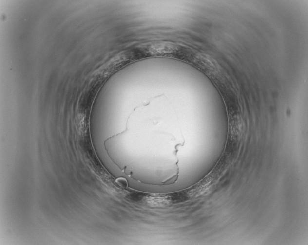 X0000086920327200705071334