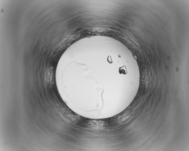 X0000086920328200705071334