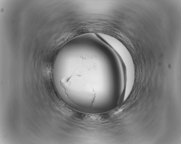 X0000086920329200705071334