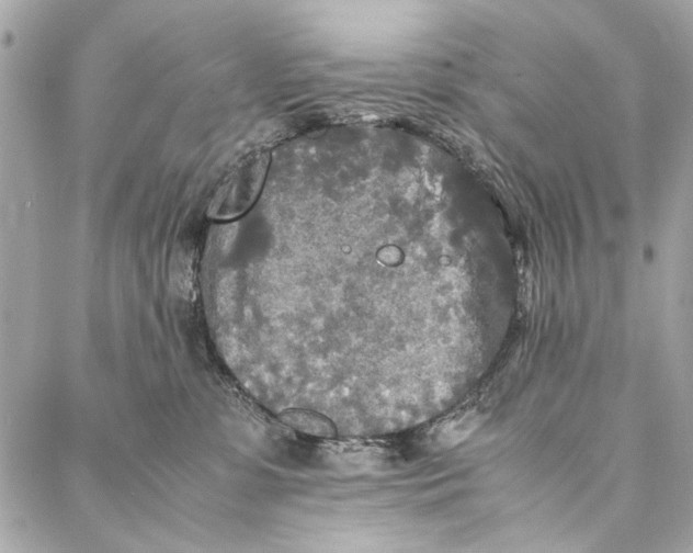 X0000086920331200705071334