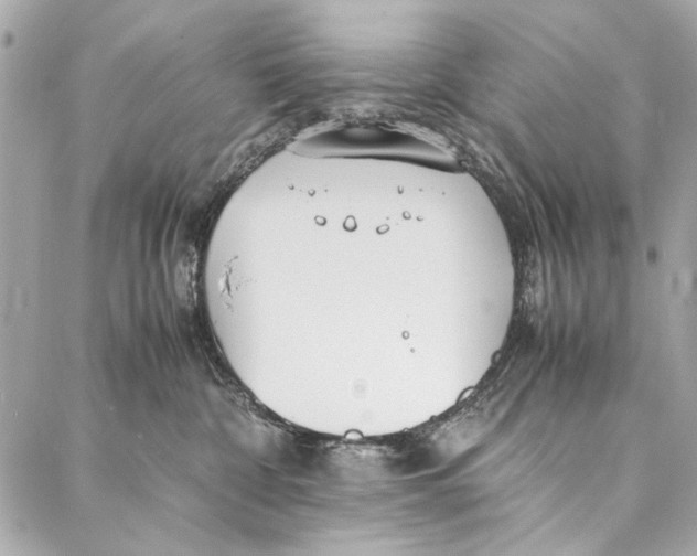 X0000086920332200705071334