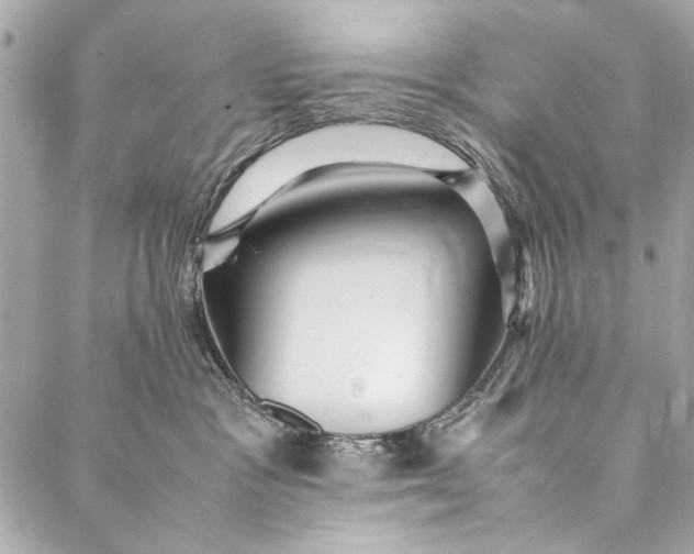 X0000086920333200705071334