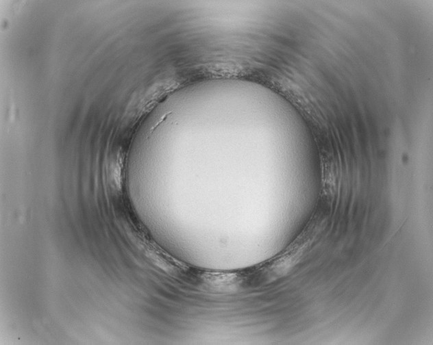 X0000086920334200705071334