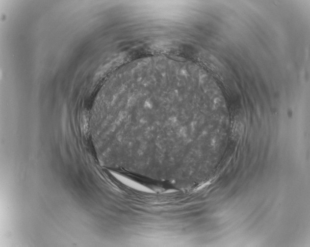 X0000086920335200705071334