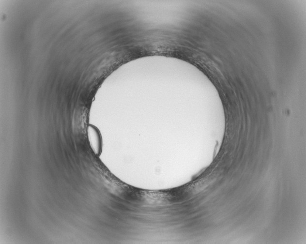 X0000086920336200705071334