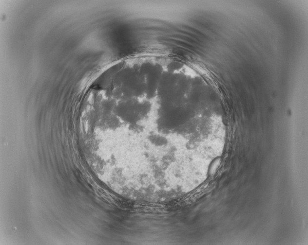 X0000086920337200705071333