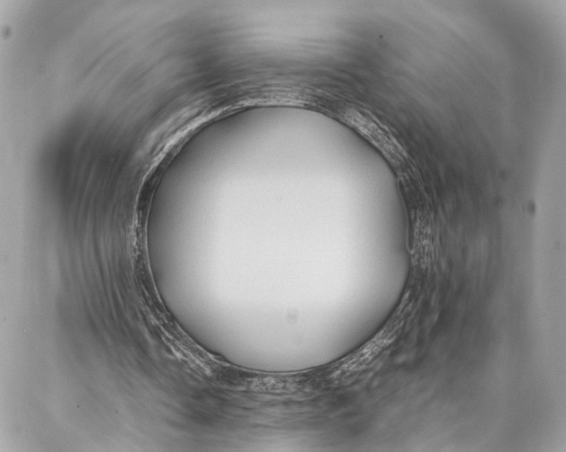 X0000086920338200705071333