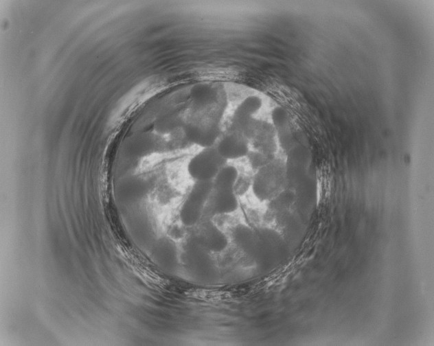 X0000086920339200705071333