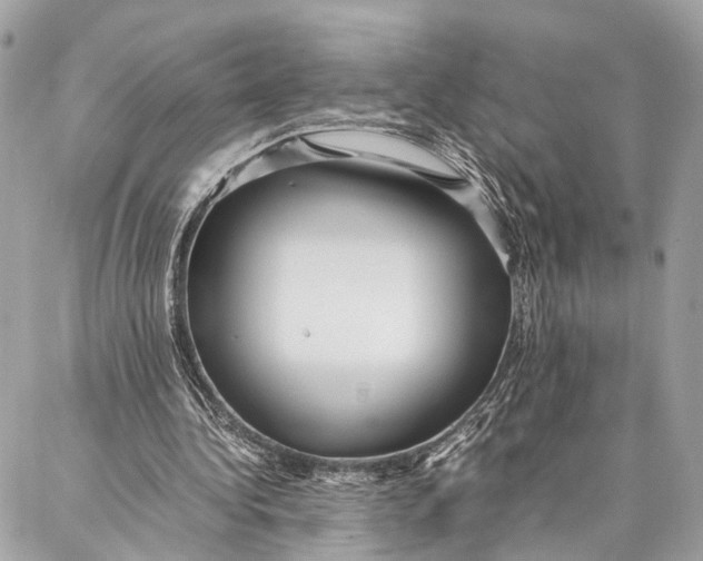 X0000086920340200705071333