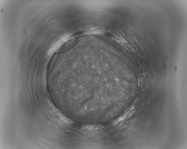 X0000086920341200705071333