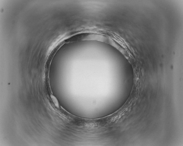 X0000086920344200705071333