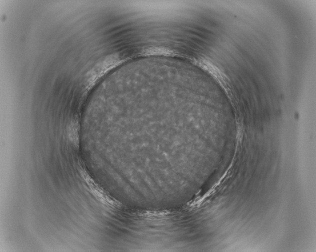 X0000086920345200705071333