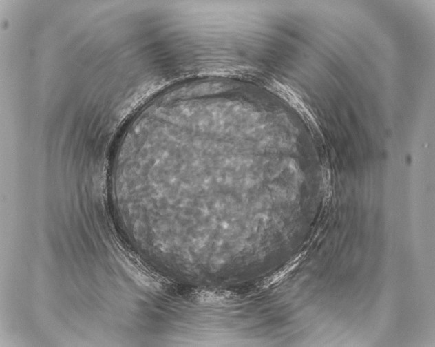 X0000086920346200705071333