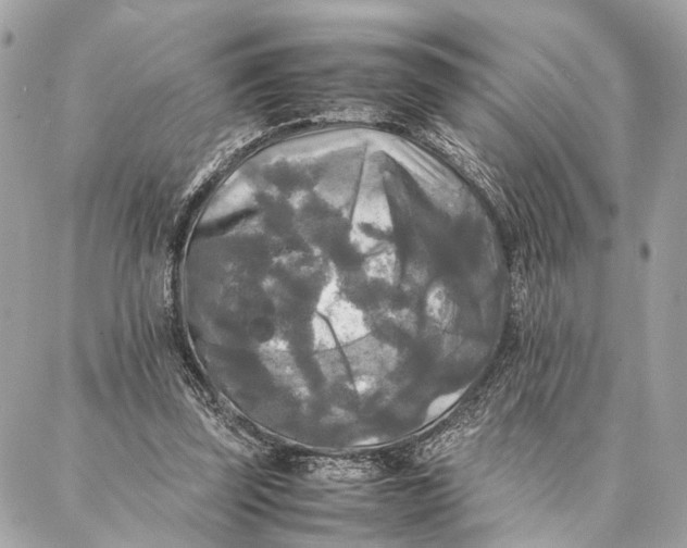 X0000086920347200705071333