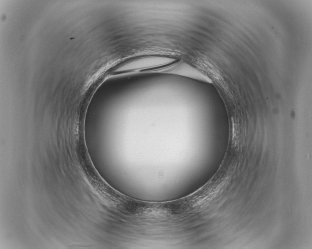 X0000086920348200705071333