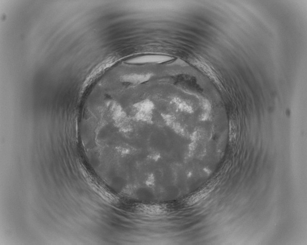 X0000086920349200705071333