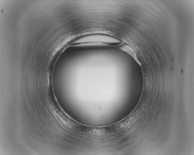 X0000086920350200705071334