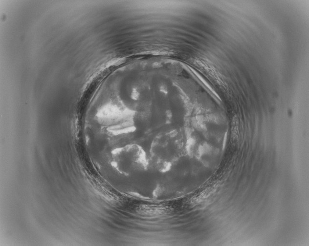 X0000086920351200705071334