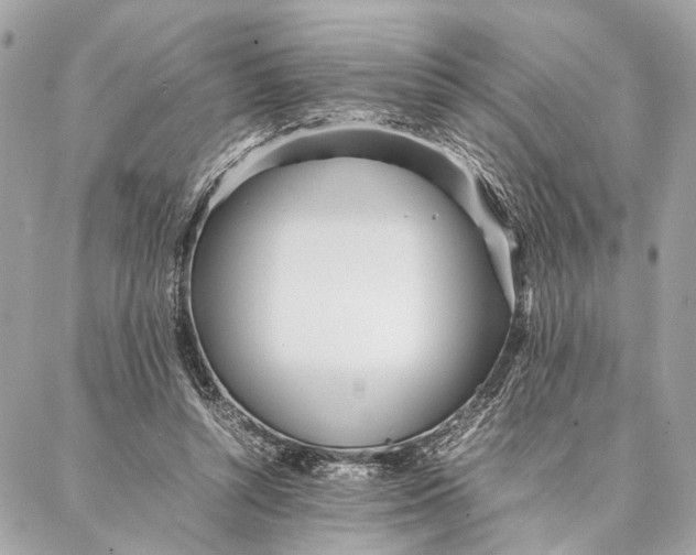 X0000086920352200705071334