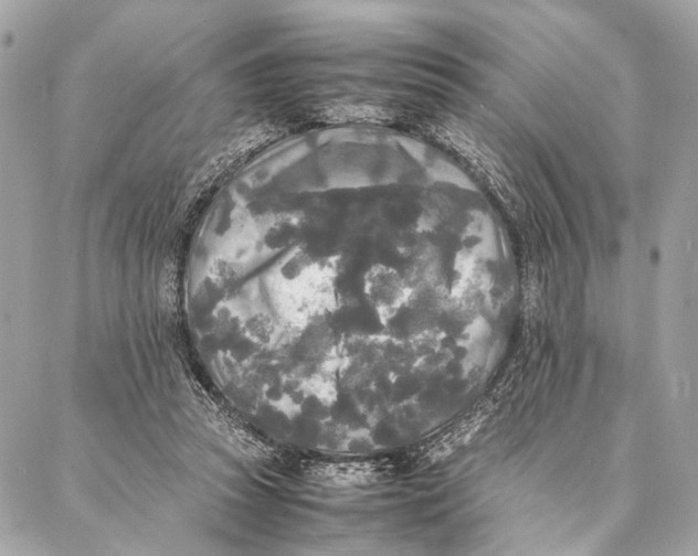 X0000086920353200705071334