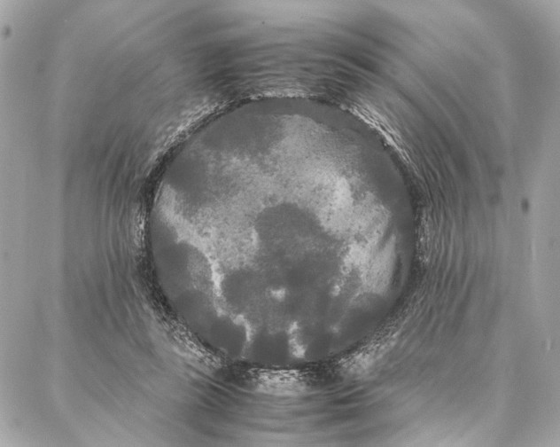 X0000086920355200705071334