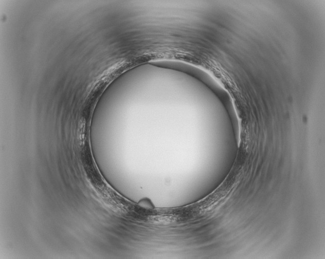 X0000086920356200705071334