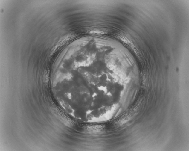 X0000086920357200705071334